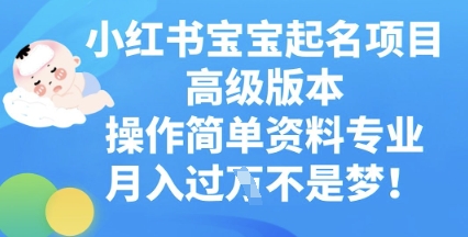 小红书宝宝起名项目高级版本，操作简单，资料专业，月入过W-网创在线