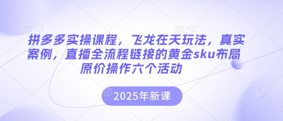 拼多多实操课程，飞龙在天玩法，真实案例，直播全流程链接的黄金sku布局原价操作六个活动-网创在线