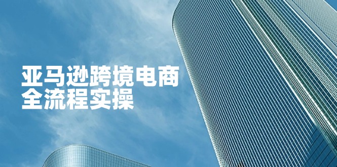 (14252期)亚马逊跨境电商全流程实操,教你从零开始,掌握店铺运营与广告技巧-网创在线