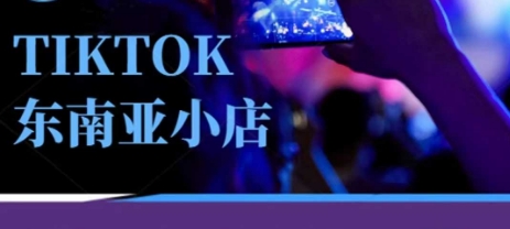 Tiktok东南亚跨境小店运营班，一门专业的TK小店运营培训课-网创在线