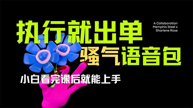 （14170期）爆火全网的开车导航骚气语音包,只要执行就出单，小白看完课程就能实操...-网创在线