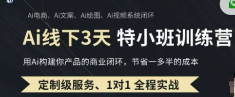 AI实操培训第20-21期线下,0基础保姆级教程,3月最新整理,企业获客、降本增效、打造超级个体-网创在线