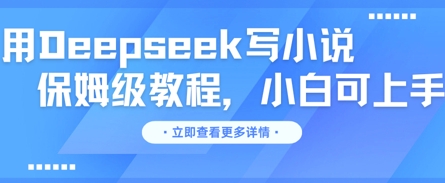 用Deepseek写小说，保姆级教程，小白可实操-网创在线