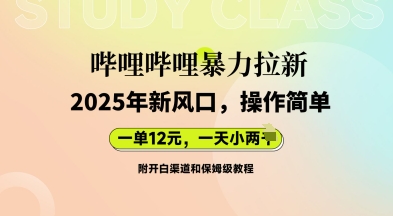 哔哩哔哩暴力拉新：2025年新风口，一单12元，一天数张(附开白渠道和保姆级教程)-网创在线