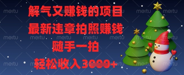 解气又挣钱的项目，最新违章拍照挣钱，随手一拍，轻松收入数张【揭秘】-网创在线